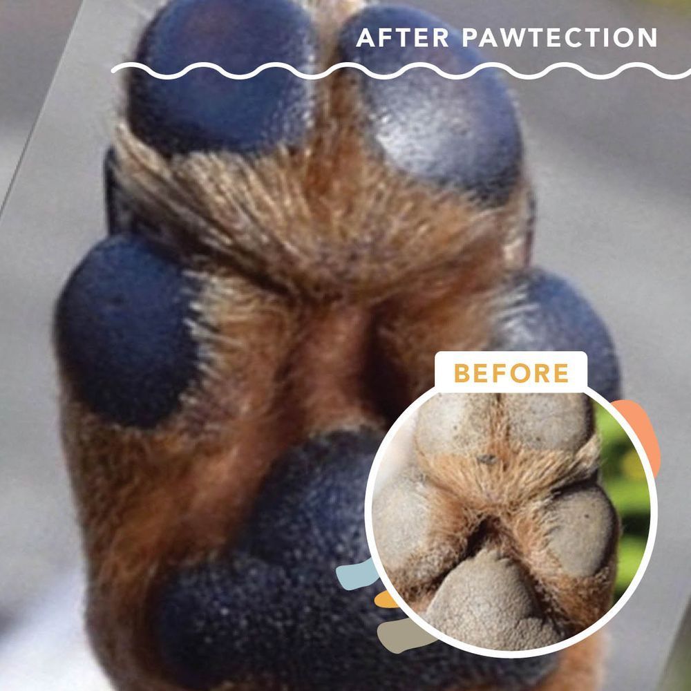 Бальзам для захисту лап Paw Tection Natural Dog Company 59мл стік