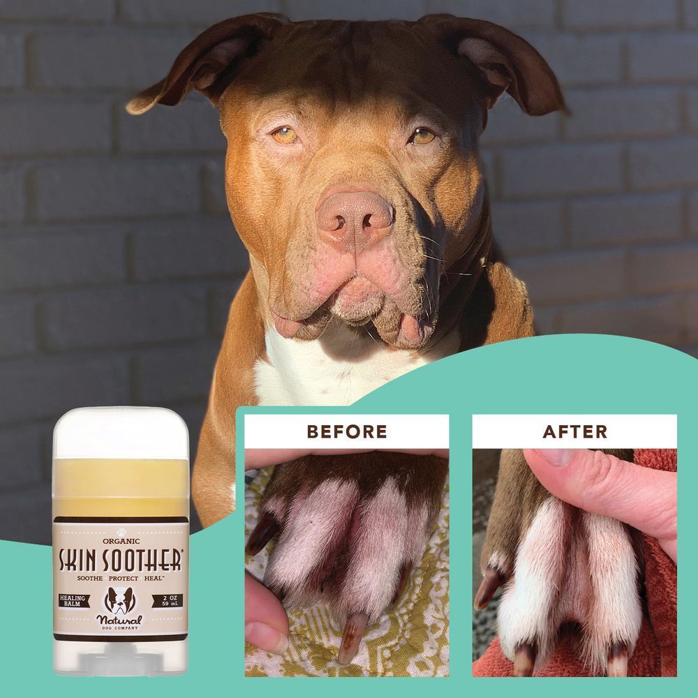 Бальзам для шкіри Skin Soother Natural Dog Company 59мл стік