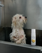 Пенка-шампунь для лица Botaniqa Face It Up Shampoo 150 мл
