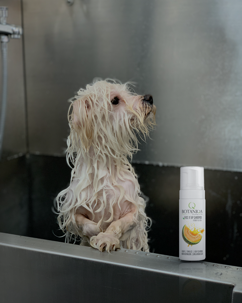 Пенка-шампунь для лица Botaniqa Face It Up Shampoo 150 мл